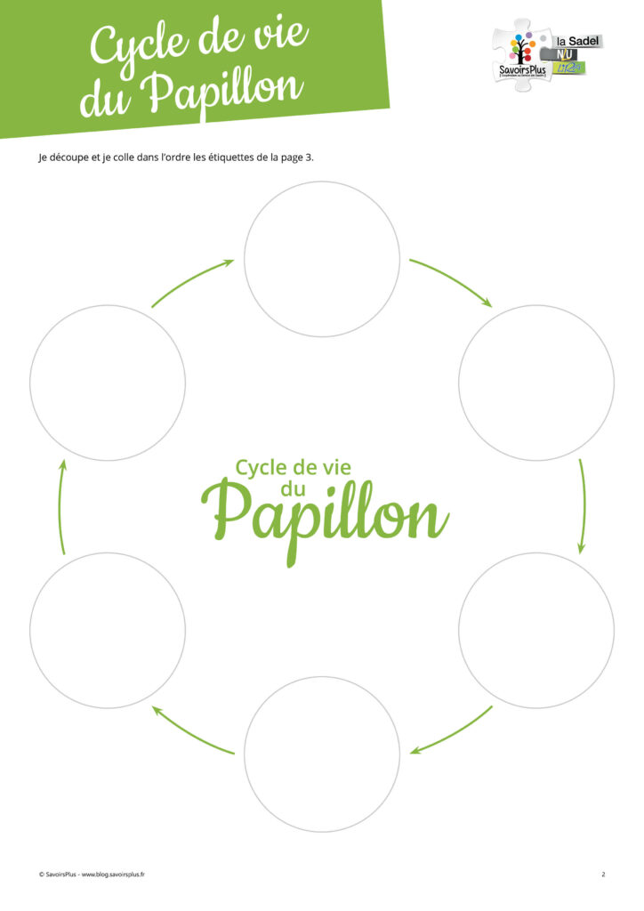 Cycle de vie Papillon - SavoirsPlus2